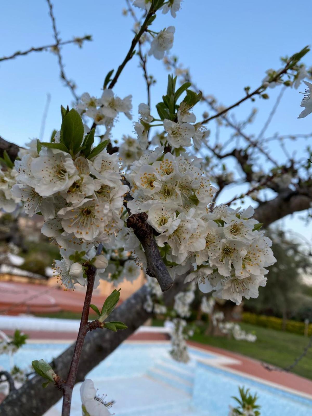 B&B La Rosa Salerno Luaran gambar